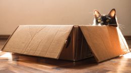 How to Step Outside "the Box" of Old Fears, Worry, and Doubt