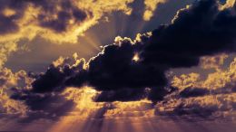 Shedding Healing Light on the Dark Side of Desire