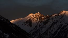 Freedom From the Shadow of Fear