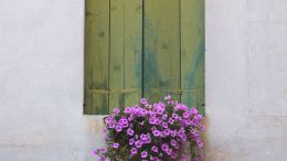 The Gift of Being Made New