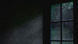 Our True Self Can't Be Made a Prisoner of Desire