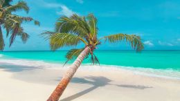 Student Q&A with Guy on "Go Beyond Painful Limitation to Realize Fearless Being" (6/30/21)