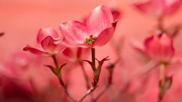 Student Q&A with Guy on "Go Beyond Painful Limitation to Realize Fearless Being" (6/30/21)