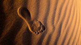 Go Beyond Painful Limitation to Realize Fearless Being