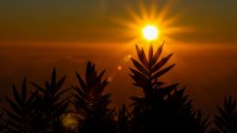 Online Study Group Meeting for Monday (8/1/2022)