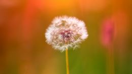 Catch and Drop the Weight of Punishing Reactions