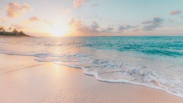 Enlightened Living: Real Life Lessons in Letting Go