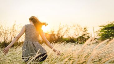 Your Passport to a New World Beyond Stress, Struggle, and Useless Pain