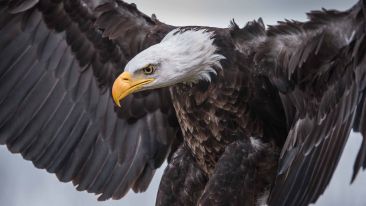 7 Ways to Invite Divine Strength into Your Life