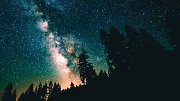 How to Ask For and Realize the Treasure of Your Celestial Character