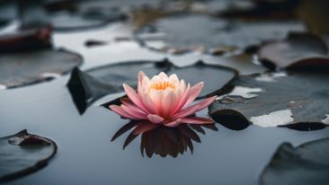 How to Find and Enter the Place of Lasting Peace (Remastered Classic Talk)