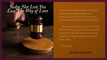 Judge Not Lest You Lose The Way of Love