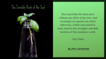 The Invisible Roots of the Soul