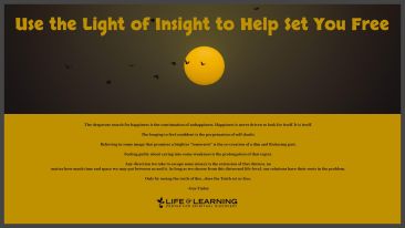 Use the Light of Insight to Help Set You Free