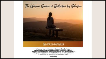 The Unseen Sorrow of Reflection by Selection