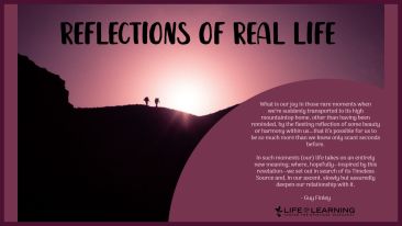 Reflections of Real Life (Blog)