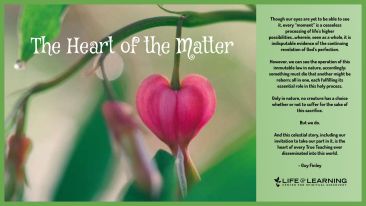The Heart of the Matter (Blog)
