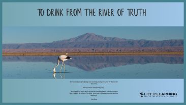 To Drink from the River Of Truth (Blog)