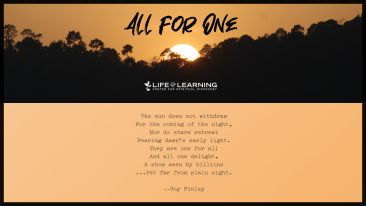 All for One (Blog)