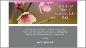 The First Step to Starting Life Over (Blog)