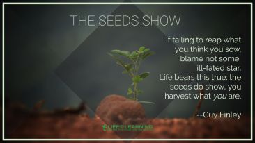 The Seeds Show (Blog)