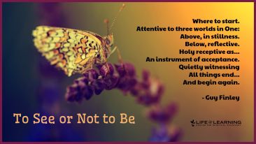 To See or Not to Be (Blog)