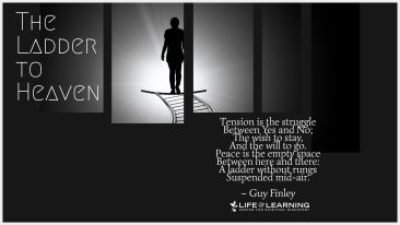 The Ladder to Heaven (Blog)