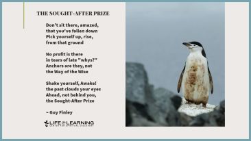 The Sought-After Prize (Blog)