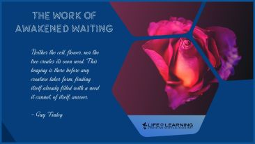 The Work of Awakened Waiting (Blog)