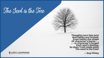 The Seed is the Tree (Blog)