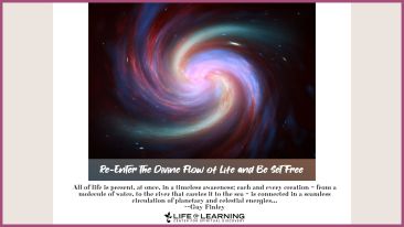 Re-Enter the Divine Flow of Life and Be Set Free (Blog)