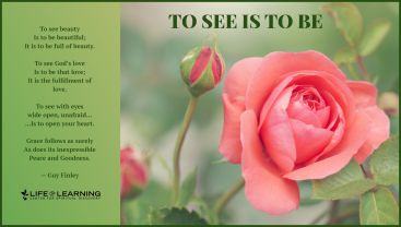 To See Is To Be (Blog)