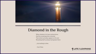 Diamond in the Rough (Blog)