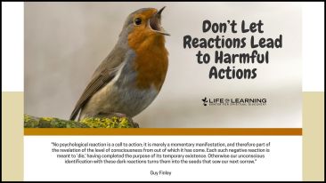 Don’t Let Reactions Lead to Harmful Actions (Blog)