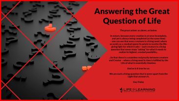 Answering the Great Question of Life (Blog)