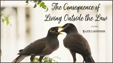 The Consequence of Living Outside the Law (Blog)