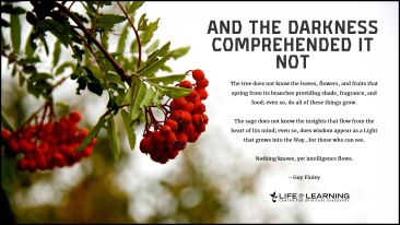 And the Darkness Comprehended It Not (Blog)