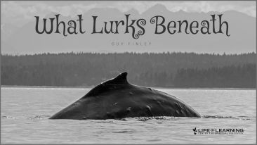 What Lurks Beneath (Blog)