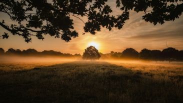 Enter the Divine Flow of Life Where No Fear Can Dwell
