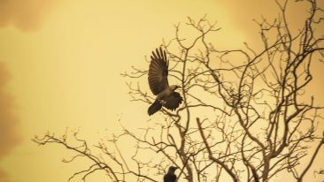 The Unimaginable Truth that Frees You from Unwanted Moments