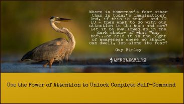 Use the Power of Attention to Unlock Complete Self-Command (Blog)