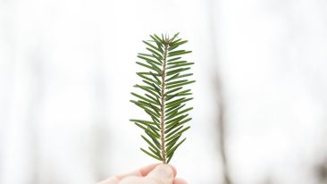 Insights into the Nature of Suffering, Surrender, and Other Painfully Misunderstood Ideas