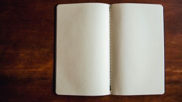 The Secret of Starting Life Over Starts Here