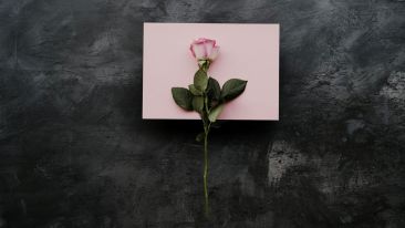 Let Love Lead You into a World Where Fear, Anger, and Frustration Can't Dwell 