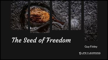The Seed of Freedom (Blog)
