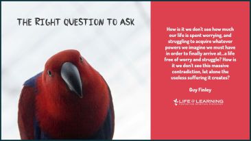 The Right Question to Ask (Blog)