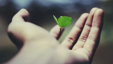 Learn to Give Yourself to Life by Letting Life Give You Life (Remastered Classic Talk)