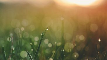 One Thing You Must Stop Doing Before You Can Start Awakening Your True Self