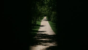 The Secret Path to the Summit of Ourselves (Remastered Classic Talk)