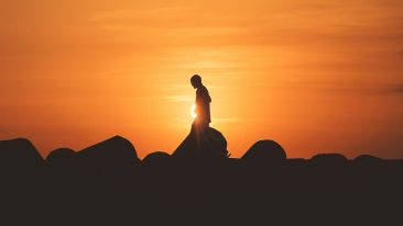 Student Q&A with Guy on 